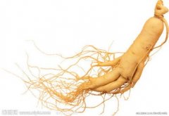 用“参”进补有大学问