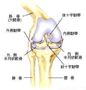 从不同角度了解滑膜炎的症状表现