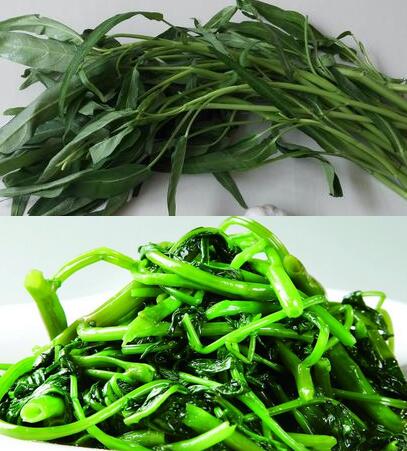 我妈说有风湿病的人不能吃空心菜，为什么？